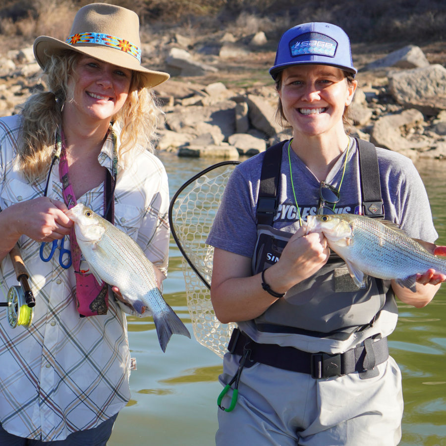 Customers with Sand (White) Bass caught while Fly Fishing in North Texas on a Wade Trip