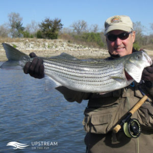 Customer with Striped Bass caught while Fly Fishing in North Texas on a Wade Trip