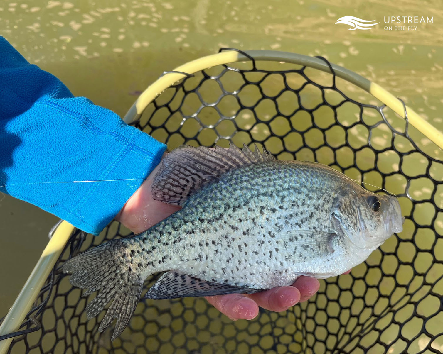 Fly Fishing the Brazos River Upstream On The Fly